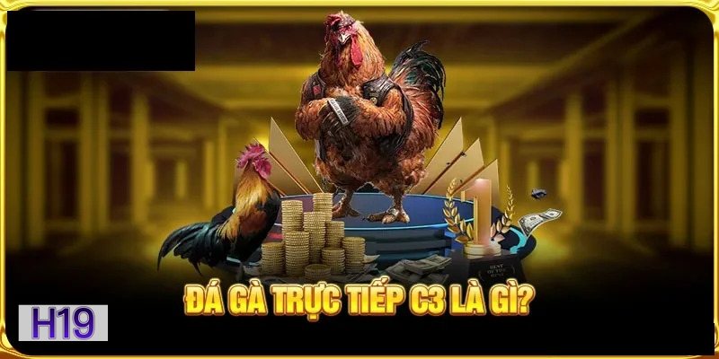 Đá gà h19 - Đá gà Philippines Đá gà h19 - Đá gà Philippines